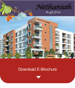 Download-Nethaniah_e-brochure-new
